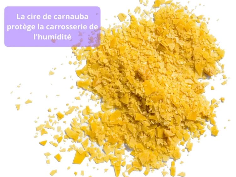 Comment utiliser la cire de carnauba ?